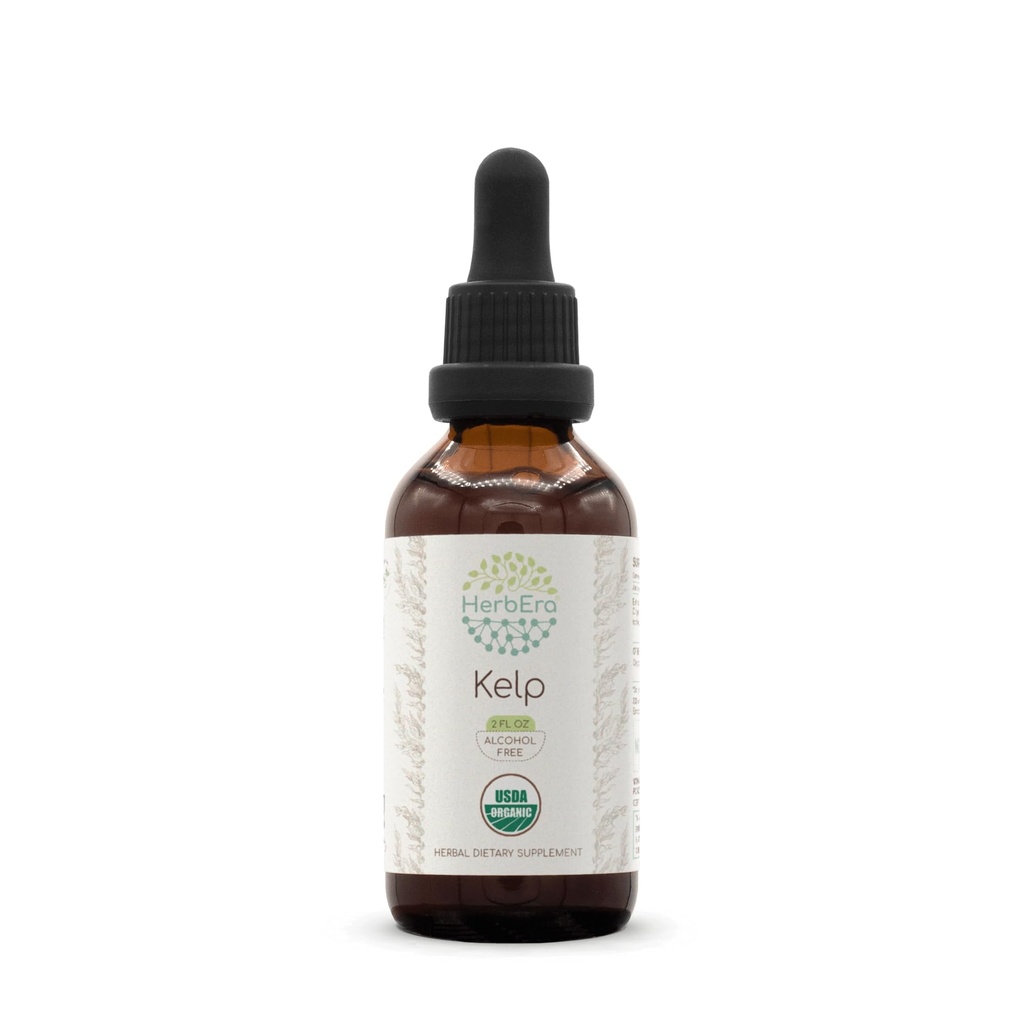 HerbEra Kelp B60 USDA Organic Tincture | アルコールフリーエキス、高確率ハーブドロップ | 認定有機ケルプ(アスコフィラムノドム)乾燥工場(2oz)