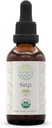 HerbEra Kelp B60 USDA Organic Tincture | アルコールフリーエキス、高確率ハーブドロップ | 認定有機ケルプ(アスコフィラムノドム)乾燥工場(2oz)