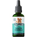 ペット用Nzymes® Traciteミネラル - フルヴィク酸、ヒューミック酸、および鉄ベースのトレースミネラルドロップとATPエネルギーのためのアミノ酸、および消化の健康 - 米国製