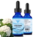 AbsonutrixのCiticoline 590のmgの4つのOzのびん、米国でなされる200のサービング、速い吸収、質の有効な原料、非GMOのGMPは、無水ケイ酸、無水ケイ酸、無水ケイ酸プロダクトを証明しました