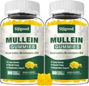 肺のための2つのパックのMulleinのガミー、Bromelain、ケルセチン、マンゴの味、120の計算との消化及び呼吸及び免疫サポートのためのMuleinの葉のエキスの補足