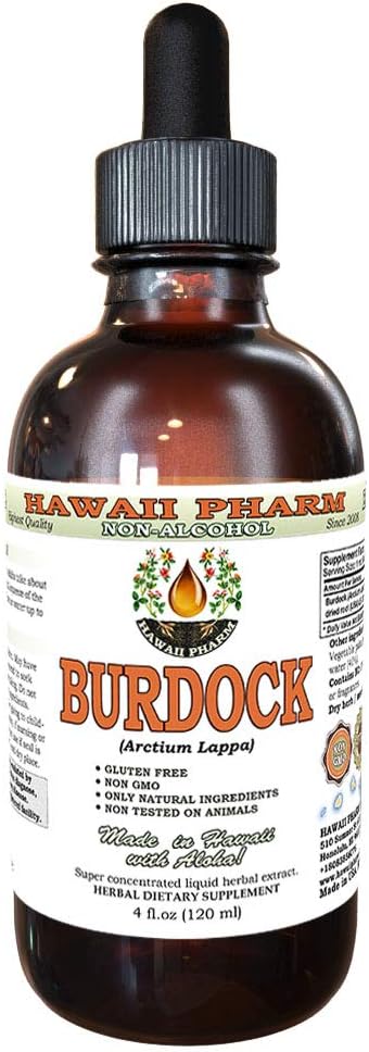 Burdock Alcohol-Free Liquid Extract, Organic Burdock (Arctium Lappa) Dried Root Glycerite Hawaii Pharm Natural Herbal Supplement 4 oz