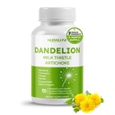 Dandelionのミルクのこのtleのアーティチョークのブルドックのターメリック - サポート 肝臓の健康、サポート 消化器補助金 - 米国でなされ、テストされる