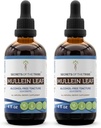 Tribe Mulleinの葉のアルコールフリーの液体のエキス、Mullein (Verbascum thapsus)のチンキの補足(2x4 FL OZ)の秘密