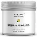 純粋なGarciniaのCambogiaのエキスの補足500mg - 60%に集中される100%の自然なHCAのエキス-サポート健康な消化およびMetabolism - 60のカプセル