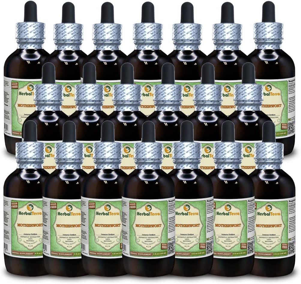 Motherwort(Leonurus Cardiaca)グリセライト、有機乾燥ハーブアルコールフリー液体エキス(ブランド名:HerbalTerra、米国製)20x4 fl.oz(20x120 ml)