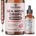 TrueSeaMosss アイルランド海苔ドロップ - 5X より強いより海の苔ゲル - 92+ エッセンシャルミネラル - スピルリナパウダー、ブルドックルート&ブラッククミン - 2 Flオズ(60ml) - イチゴフレーバー