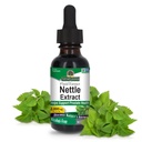 Nature's Answer Nettle Leaf 1oz Extract | 前立腺サポ | 濃い緑色のイラクサの葉のハーブサプリメント | 非GMO、コーシャ、グルテンフリー、およびアルコールフリー | シングルカウント