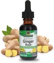 Nature's Answer Ginger Root アルコールフリーエキス 1 オンス | サポート胃機能 | ヴィーガン | ベジタリアン | ノンGMO | グルテンフリー