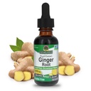 Nature's Answer Ginger Root アルコールフリーエキス 1 オンス | サポート胃機能 | ヴィーガン | ベジタリアン | ノンGMO | グルテンフリー