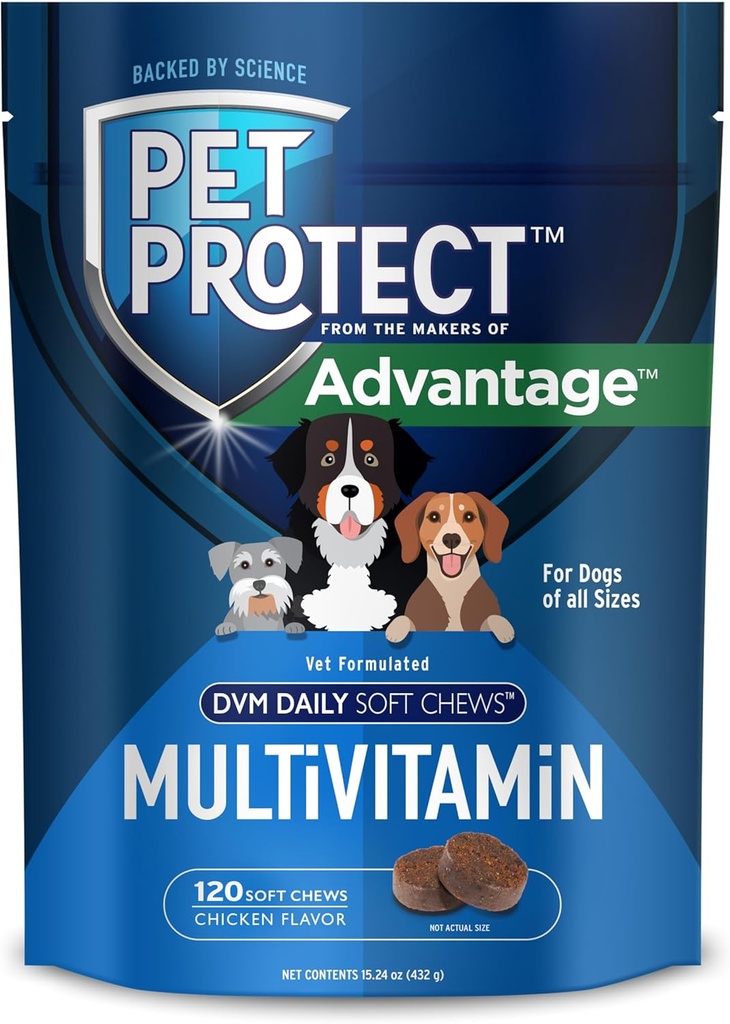 ペットは犬のMultivitamin、Vet-Formulated DVMの毎日の柔らかい咀嚼を保護します、サポートは健康及び健康、鶏のフラバー(120の計算)を行きます