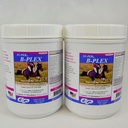 SU-PER B-Plex の粉の Equine のビタミン - 完全な B のコンプレックスの馬のビタミンおよび鉱物の補足 - 健康なホオフ、赤い血球、馬の Calming の粉- 2.5 ポンド、2 パック