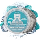 向知性エネルギーカフェインポーチ•100mgカフェイン•アルファGPC•ハペルジンA&エッセンシャルビタミン•砂糖フリー•ココナッツ繊維技術•ウィンターグリーン味•缶あたり15袋(パッケージ1)