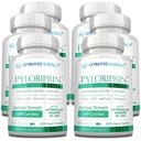 承認された科学Pyloriprin - 健康な胃のための高度の消化管サポート - 亜鉛L-カルノシン、プロバイオティック、ブロッコリーSprout、Deglycyrrhized Licorice - 360のカプセル - 6か月の供給 - ビーガン