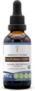 Tribe California Poppy Tinctureアルコールフリー液体エキス、USDA Organic California Poppy (Escholzia Californica) ドライルート (2 FL OZ)