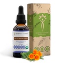 Tribe California Poppy Tinctureアルコールフリー液体エキス、USDA Organic California Poppy (Escholzia Californica) ドライルート (2 FL OZ)