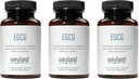 EGCG | 緑茶エキス | 400 mg - 抗酸化サプリメント | 完全菜食主義者, グルテンフリー | 100 ベジタリアンカプセル (パック 3)