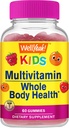 WellYeah Kids Multivitamin Gummies | ビタミンC・D3・E・B6・B12・ビオチン・亜鉛・葉酸・イオダイン・ナイアシン | 免疫・エネルギーサポート | オレンジ・ベリー味 | 60 カウント