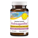 NORTH AMERICAN HERB&SPICE Ashwagandha 60キャップ