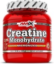 Amixのクレアチンの一水化物-粉300グラム