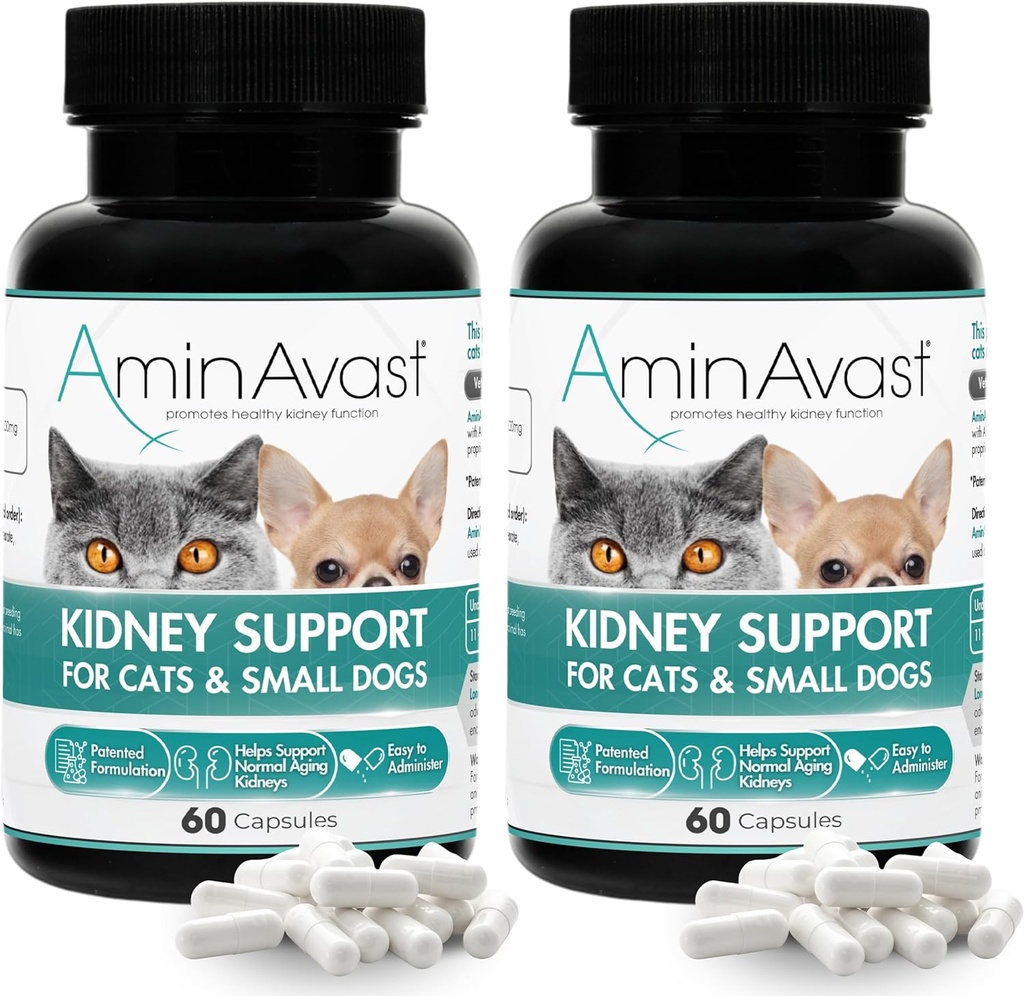 猫と小犬のためのAminAvast Kidneyサポートサプリメント, 300mg 2-Pack - 自然腎臓機能を促進する - エイジング腎臓の健康と死亡 - 簡単に管理 - 60スプリンクルカプセル