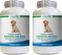 犬のプロバイオティックオーガニック - 犬のプレミアムPROBIOTICS - セイボリービーフフレーバー - ディアリアの悪いガス悪い息 - 腸の健康 - 悪い呼吸犬ホーム救済 - 2ボトル(120のお菓子)
