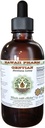 Gentian Alcohol-Free Liquid Extract, Organic Gentian (Gentiana Lutea) Dried Root Glycerite Hawaii Pharm Natural Herbal Supplement 2 oz