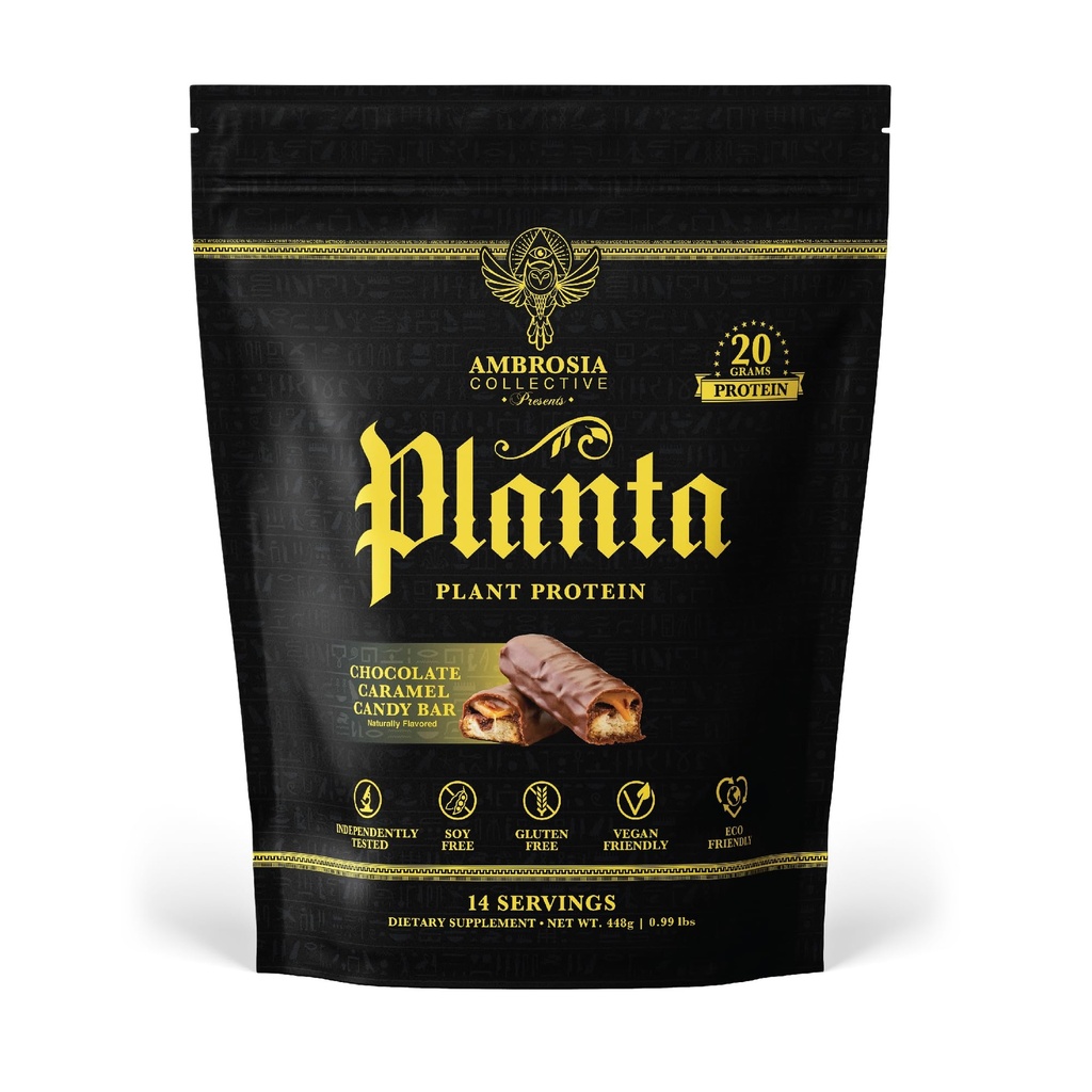 Ambrosia Planta - プレミアムプラントベースのプロテイン | ビーガン&ケトフレンドリー | グルメフレーバー ノンブロワートまたは胃のアップセット | グルテンフリー&大豆フリー | 砂糖なし | 14 サービング | (キャンディバー)