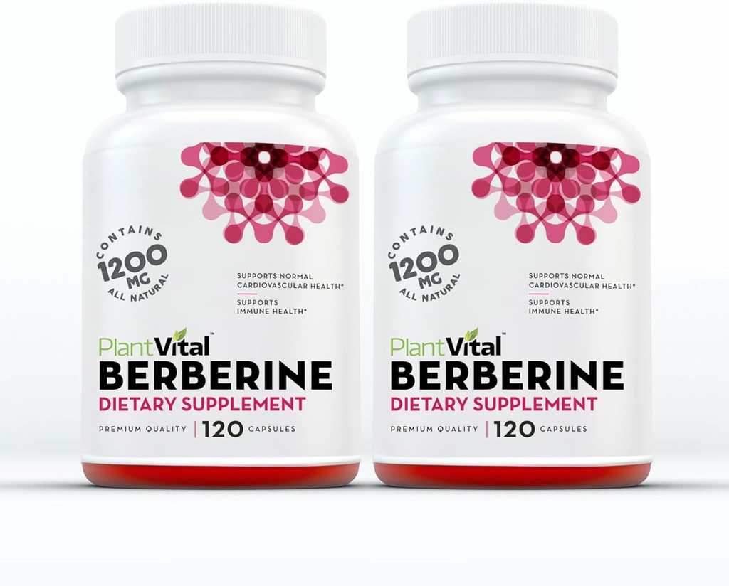 植物ビタミンBerberine 1200mg(2キャップ)免疫サポートと正常な心血管の健康のための非GMOサプリメント - 240カウント、ビーガン、米国製