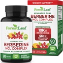 ForestLeaf Berberineの補足-GLP-1によって刺激される方式-サービングごとの1300mg-超高い効力のBerberine HClおよびCeylonのシナモン、ビターのメロン及び体育館-重量管理サポート- 90の帽子
