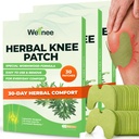 Wellneeの元の草の膝パッチ-Kneeサポート及び筋肉痛のためのWellkneeのプラスター-一時的な救助のための最高の強さ-ウェルネスのための自然なハーブとなされる付着力の熱パッチ(30のパッド)