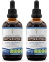 Tribe Hydrangea Tinctureアルコールフリー液体抽出物、Hydrangea(Hydrangea arborescens)乾燥ルート(2x4 FL OZ)の秘密
