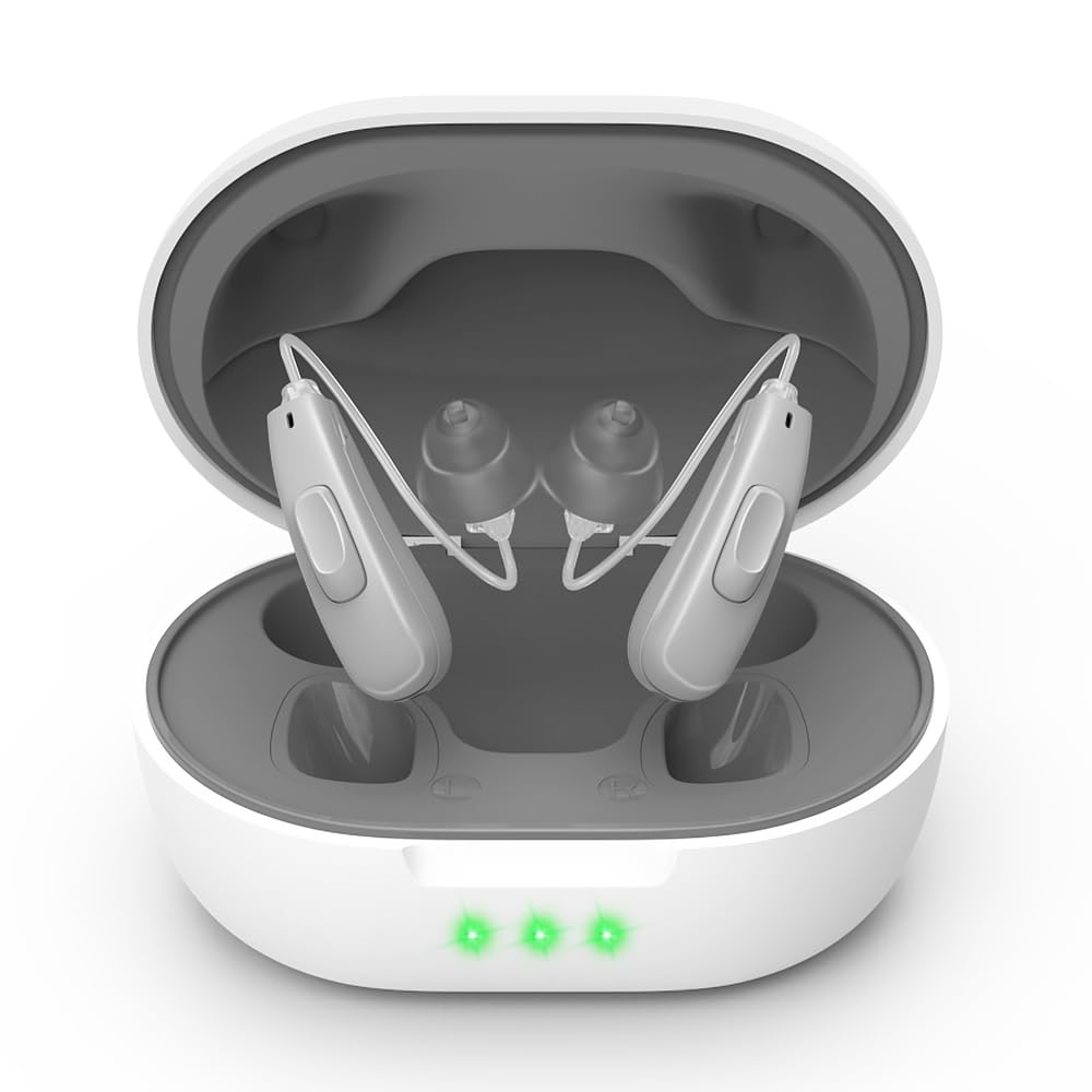 真の補聴器(増幅器ではない)11のChannalsのシニアのための専門の再充電可能な補聴器は磁気充電箱(灰色)が付いている騒音のキャンセルの補聴器をサーブします