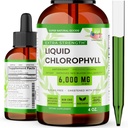Chlorophyllの液体の低下(1500 MG) - エネルギーのための免疫サポート補足、焦点及びウェルネスブースト、Detoxの清潔、皮の健康及び腸の健康-非GMO及びビーガン(4oz)