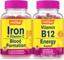 WellYeah Iron+Vitamin C + ビタミンB12 1000mcg、Gummies Bundle - Great Tasting、ビタミンサプリメント、グルテンフリー、GMO無料、Chewable Gummy