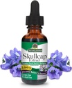 Nature's Answer アルコールフリー Skullcap Herb, 1-Fluid Ounce