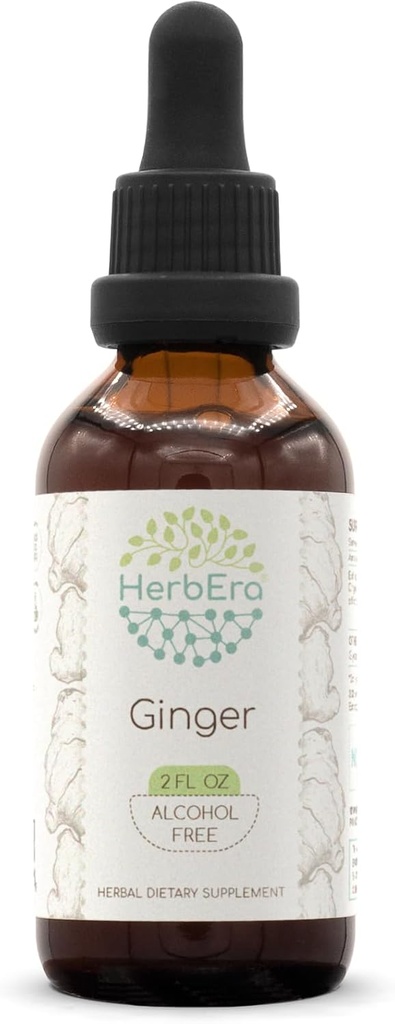HerbEraジンジャーB60アルコールフリーハーブエキスのチンキ、超濃縮ジンジャー(Zingiber officinale) 2 fl oz