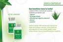 NutrisaludプロダクトCapsulas de SavilaのアロエVeraのカプセル500mg。セットde 2のfrascos 100のcapsulas CADA uno.EfectivoのContraのulceras、agruras、malaの消化、Colitis、estreñimiento。 Dura mas de 3 メセス.