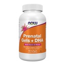 NOWサプリメント、プレナタルゲル+ 250 mg DHA/サービング、プラスボラージオイル(GLA)、180ソフトゲル