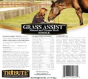 Kalmbach Feeds Grass Assist Mineral and Vitamin Block for Horse, 25 lb