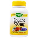 NATURE'S WAY コリン 500mg 100錠