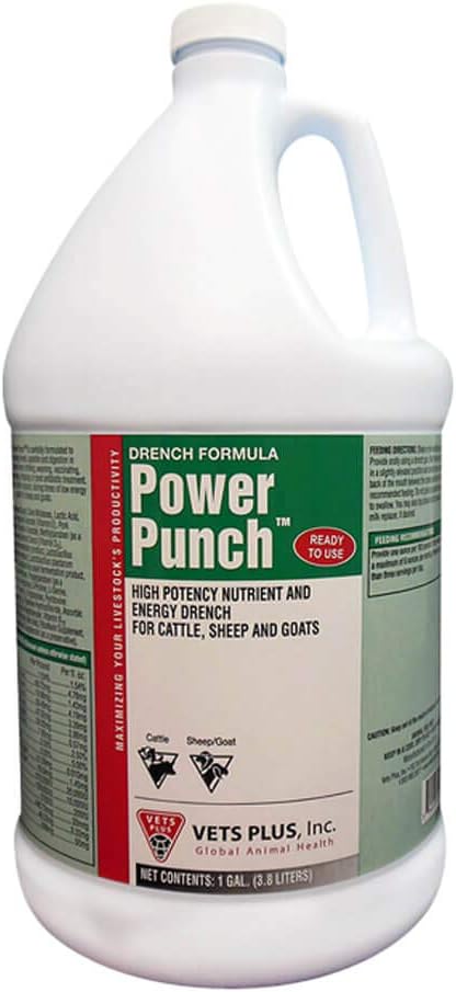 Vets Plus Power Punch, Energy Drench, Gallon