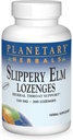惑星のHERBALSの滑り止めのエルムのLozenges、Unflavored、200の計算