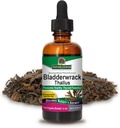 Nature's Answer Bladderwrack Sea Mosss Liquid 2 oz | 甲状腺サポート | 消化器の健康を促進 | 免疫サポート