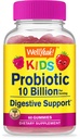 WellYeah Probiotics for Kids Gummies -10 Billion CFU - Gut Health, Immune Health and Digestive Support - ベリー・フレーバー・Chewable Supplement - ビーガン、非GMO、グルテンフリーキッズプロバイオティック-60グミー
