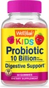 WellYeah Probiotics for Kids Gummies -10 Billion CFU - Gut Health, Immune Health and Digestive Support - ベリー・フレーバー・Chewable Supplement - ビーガン、非GMO、グルテンフリーキッズプロバイオティック-60グミー