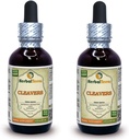 Cleavers(Galium Aparine)のチンキ、有機性乾燥された上部の液体のエキス(ブランド名:米国で作られたHerbalTerra) 2x2 fl.oz (2x60 ml)