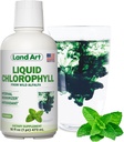Land Art - Liquid Chlorophyll Mint – Cold-Extracted from Wild Non-GMO Alfalfa – Natural Clorofila Liquida – Antioxidant - Detox Supplement – Boost Energy – Alkalizing & Body Odor Neutralizer – 16 floz