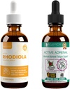 Rejuvica 健康活動的な Rhodiola + 活動的な副腎 - サポート エネルギー + ストレス - よりよい吸収のための液体配達 - Rhodiola、Ashwagandha、聖バジル及び多く!