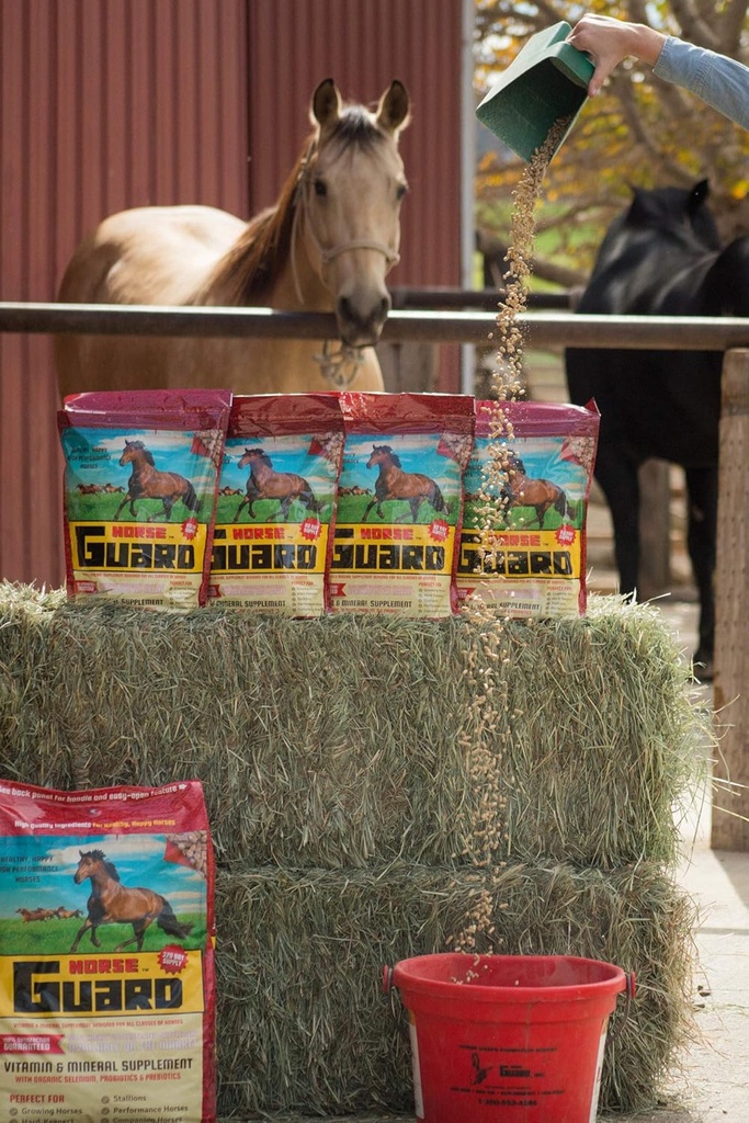 馬の監視4.6 lbの有機セレン及びビタミンEが付いているEquineのビタミンのミネラル補足